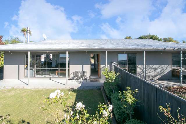 9 Lancaster Street Tamatea_1