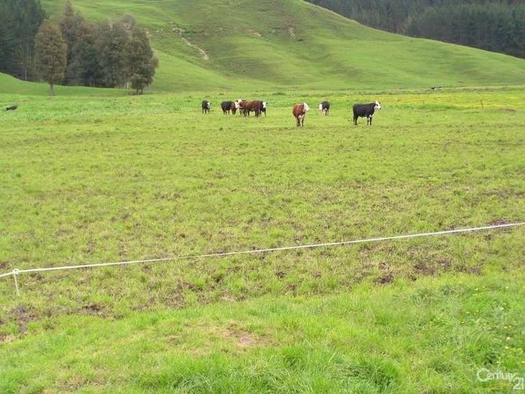 872 Puketawai Road Otorohanga_13