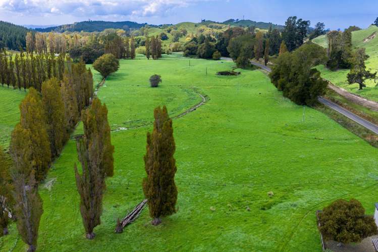 1678 Tiniroto Road Waerenga-O-Kuri_16