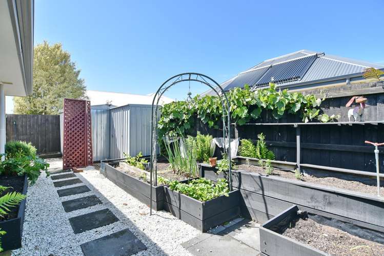 7 Araucana Way Marshland_37