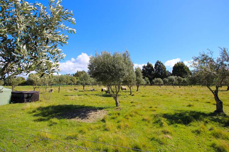 82 Rarangi Road Rarangi_3