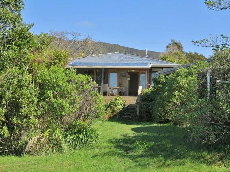 1174 Collingwood-Puponga Kahurangi National Park_20