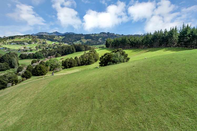 Lot 2, 106 Totara Park Lane Glenbervie_10