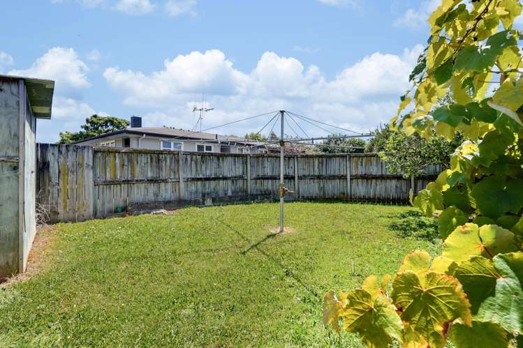 19 Galway Avenue Hamilton East_21