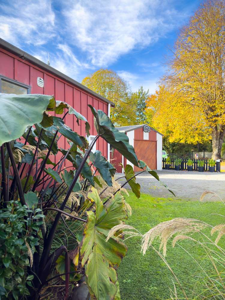 13 Miller Street Otane_19