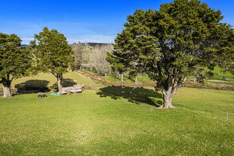 Lot 1 Jordan Valley Road Hikurangi_13