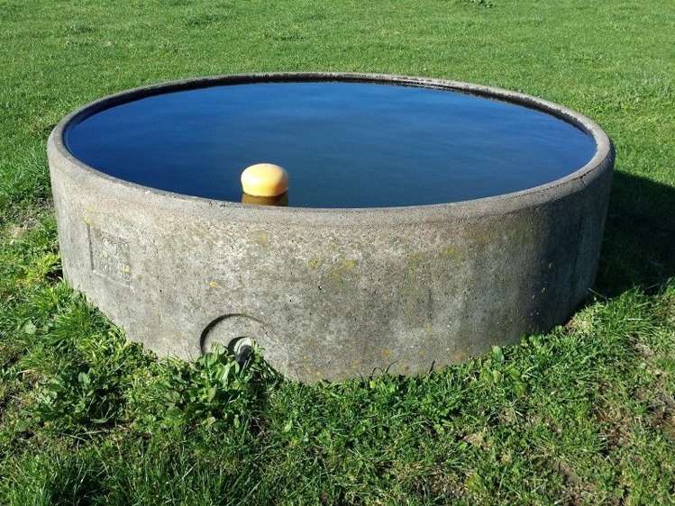 1102 Mangorei Road Mangorei_22