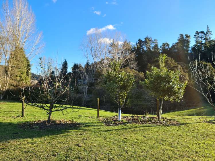 438a Kauaeranga Valley Road Thames_8