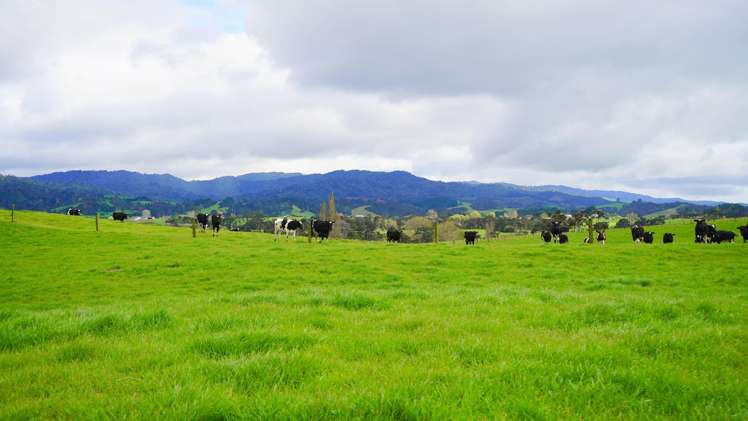 591D East Coast Road Kaiaua_11