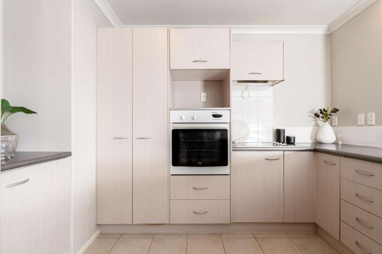 438D Tristram Street Whitiora_9