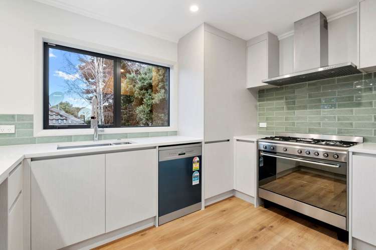 27 Cleary Road Panmure_2