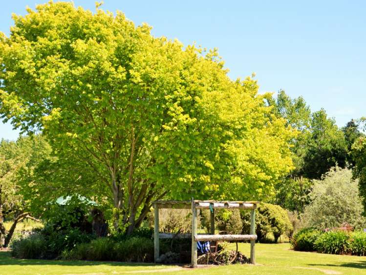 185 Lawcocks Road Amberley_16