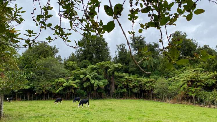 1677 Pyes Pa Road Oropi_17