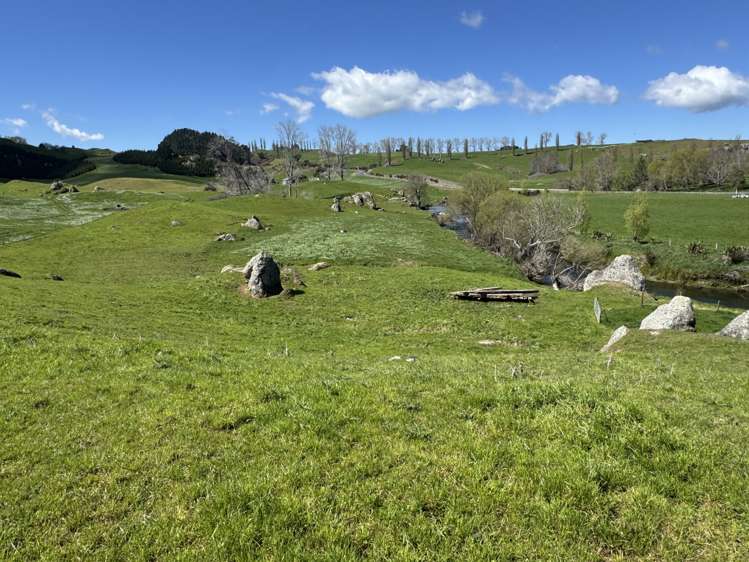 258 Wharepapa South Road Te Awamutu_12