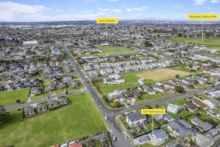 107 Hall Avenue Favona_20