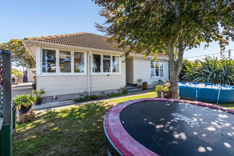23 Geddis Avenue Maraenui_13