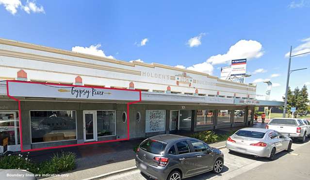 2/200 Heretaunga Street East Hastings_1