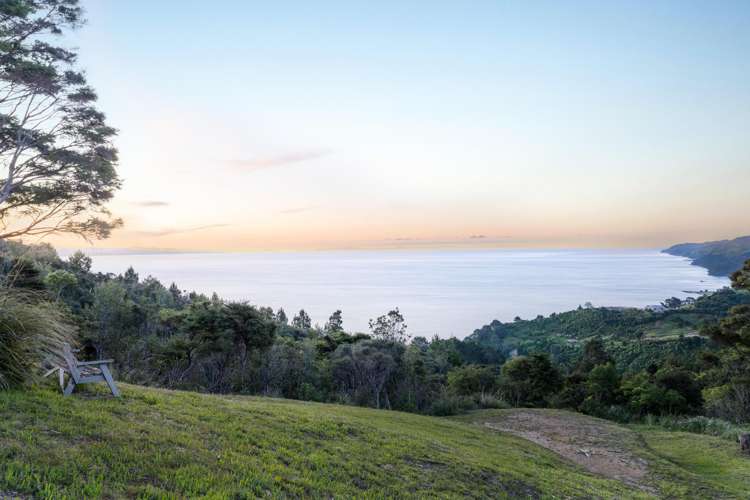 98 Tapu Rise Heights Tapu_10