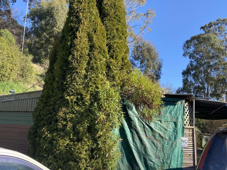 Address withheld Oamaru_11