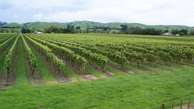 483 Dartmoor Road Puketapu_11