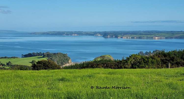 986 Tinopai Road Matakohe_94