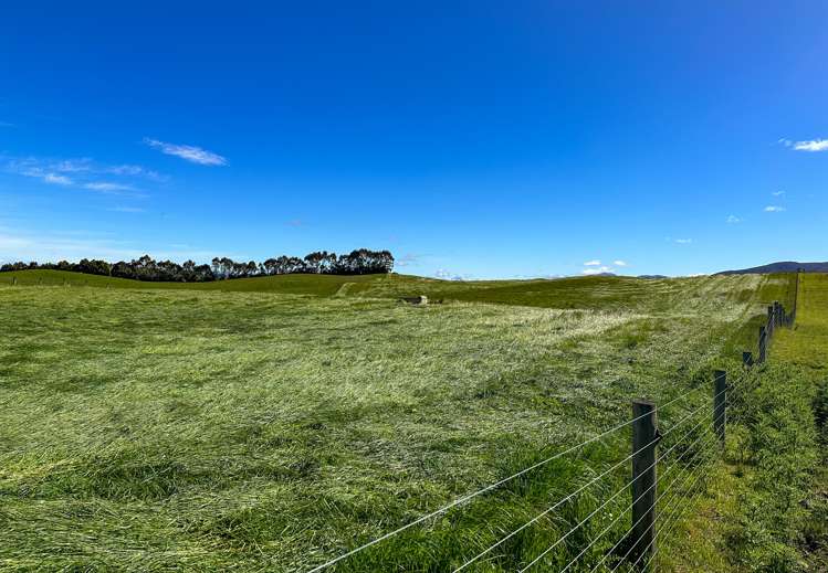 1338 Kakapo Road Te Anau Surrounds_17