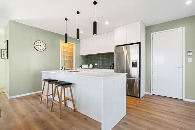 77 Kitchener Street Masterton_4