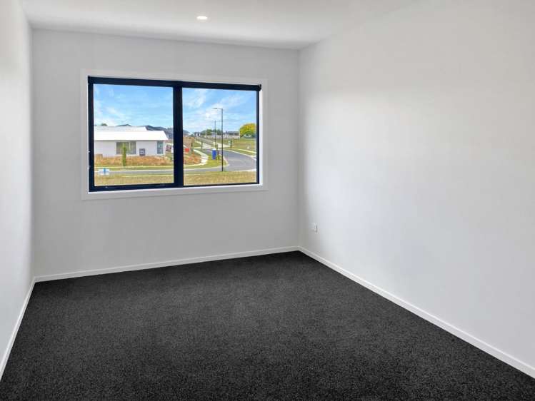 264 Korimako Drive 11385_13