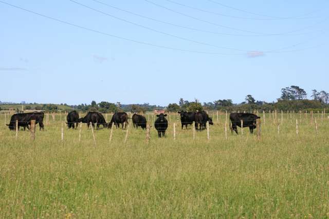 550 Mountain Road Lepperton_4