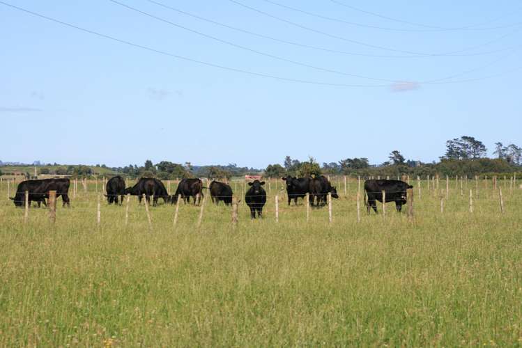 550 Mountain Road Lepperton_4