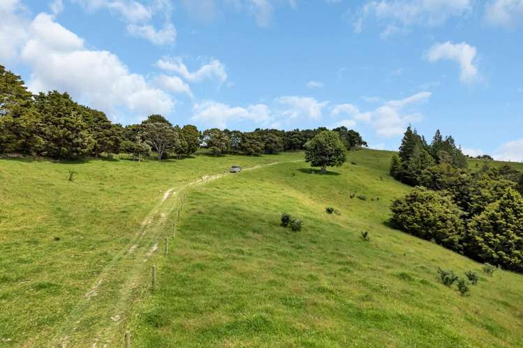 123 Homackey Road Matakohe_21