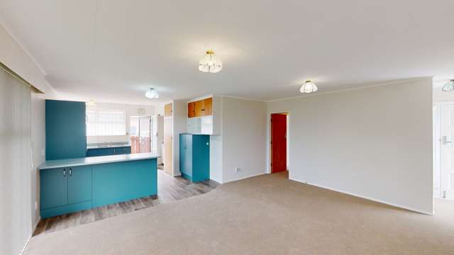 188 Tiro Tiro Road Levin_4