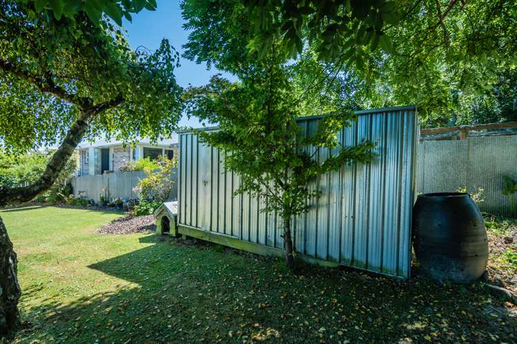 19 Puriri Street Highfield_11