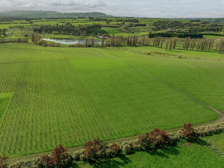 Lot 3 Willow Lane Martinborough_9