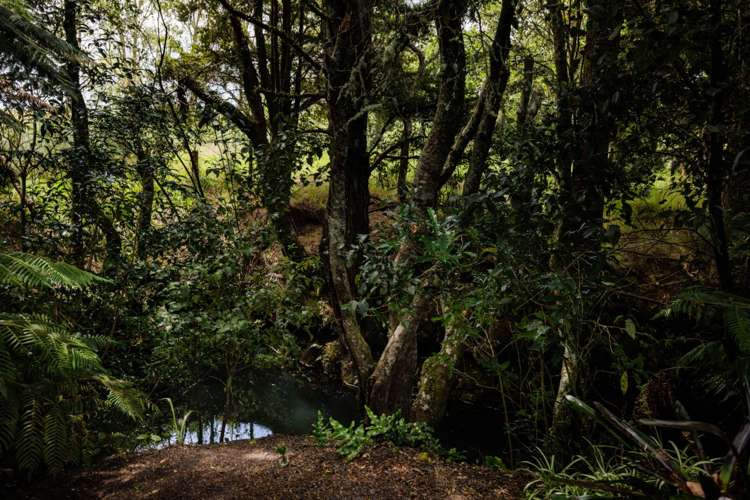 482 Puketotara Road Kerikeri Surrounds_29