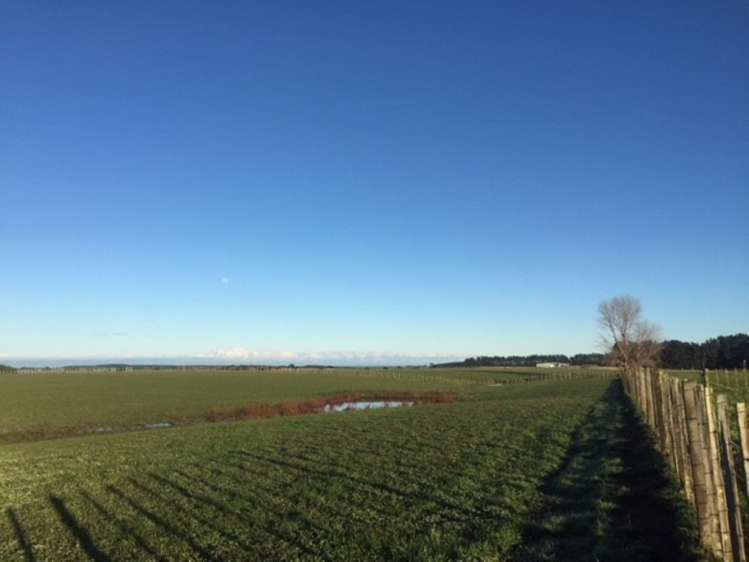 68 Union Line Marton_3