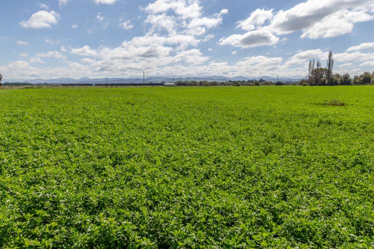 96 Rockwood Road Hororata_10