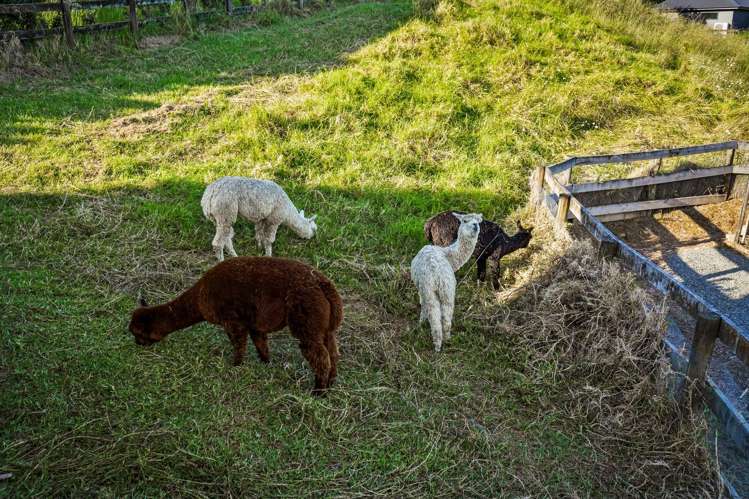 709C Ridge Road Riverhead_30