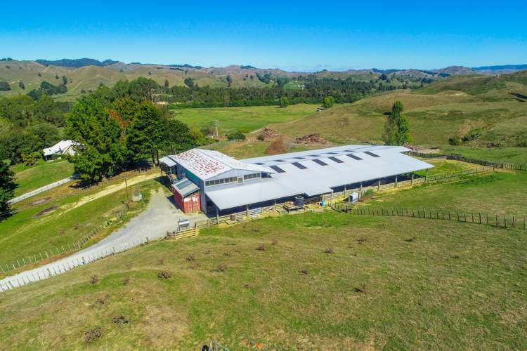 73 Rimu Road Ohura_6