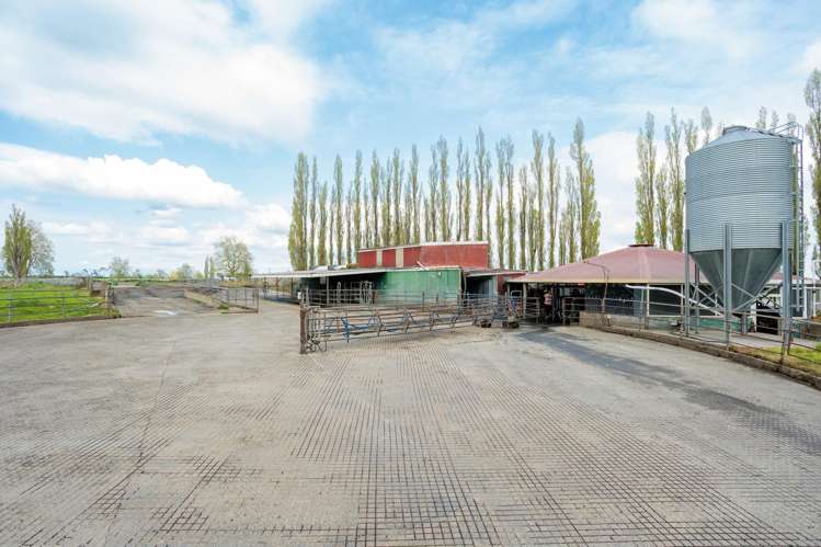 131 School Road Te Aroha_7
