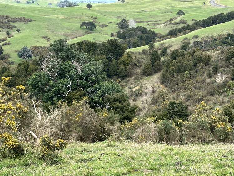 Bently Road Ruawai_7