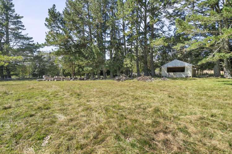 613 Mountain Road Oropi_29