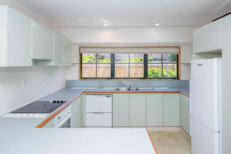 101B Clarence Street Hamilton Lake_16