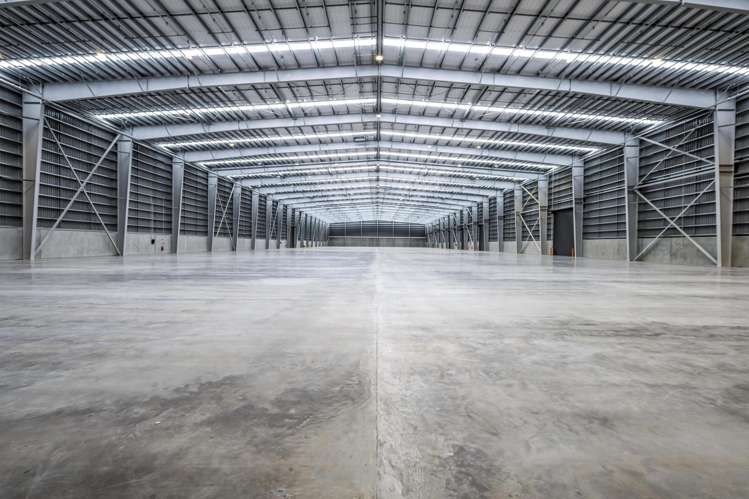 Building A/224 Neilson Street Onehunga_3