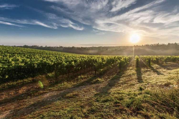 62 Papatupu Way Kumeu_14