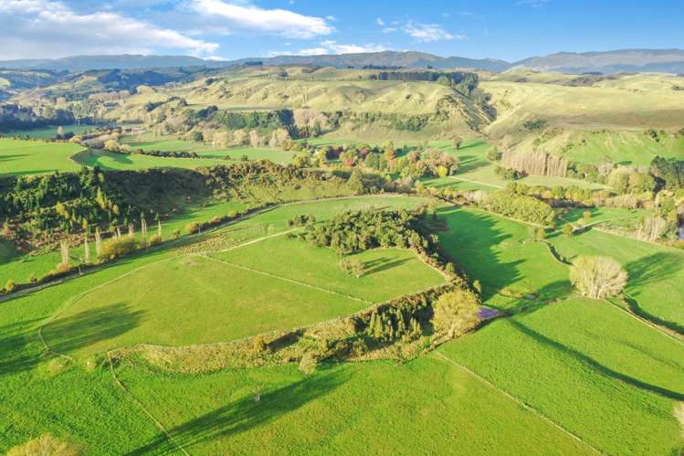 2732 Kimbolton Road Kimbolton_6