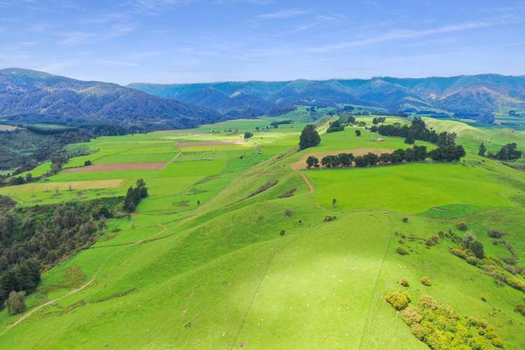 451 Table Flat Road Apiti_4