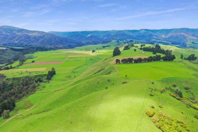 451 Table Flat Road Apiti_4