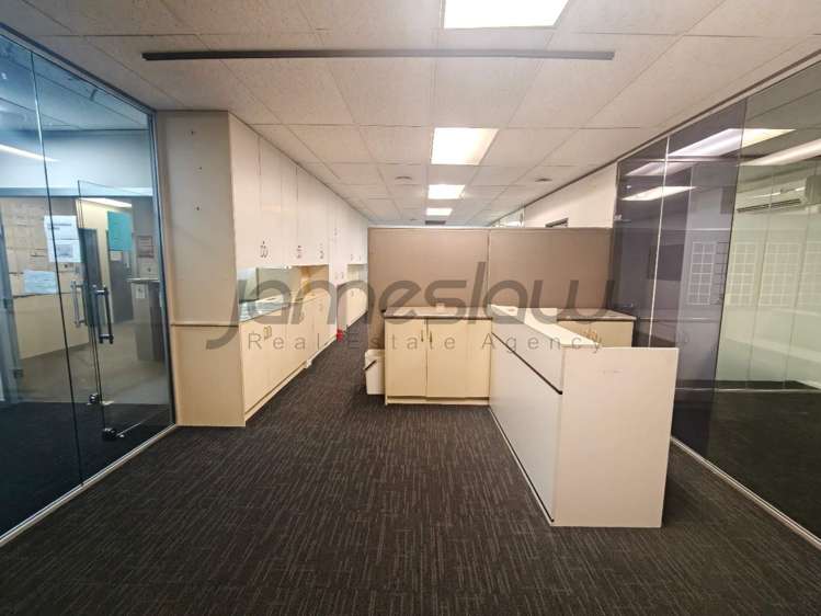 123 Manukau Road Epsom_10