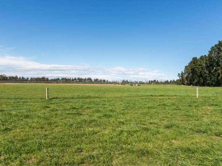 142 Anama Valetta Road Valetta_9